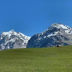 Fluehblueemli