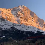 Fluehblueemli