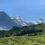 Fluehblueemli
