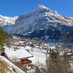 Apartment Chalet Ahorn