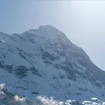 The Terrace Apartment - Grindelhomes
