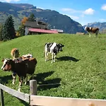 Alpenhof