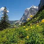 Chalet Verbrunnenhaus Grindelwald