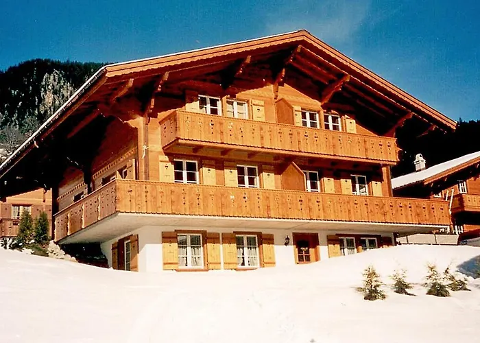 Apartment Chalet Mittelhorn-1