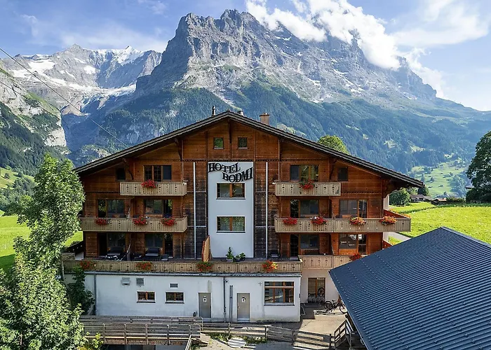 Hotel Bodmi