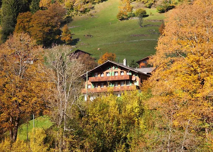 Apartment Chalet Auf Dem Vogelstein-1 By Interhome