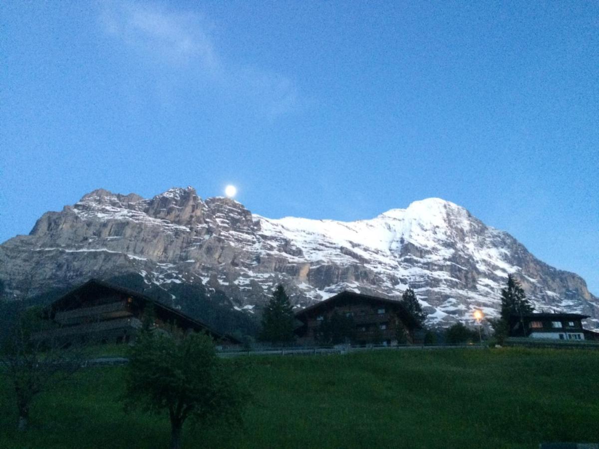 Luxury, New - Amazing Views Eiger Jungfrau Moench Apartment