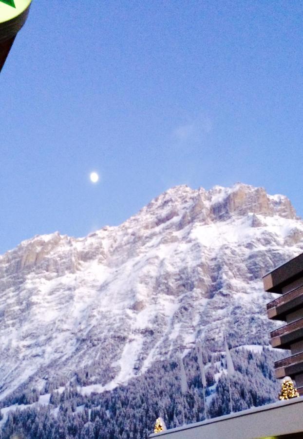 Luxury, New - Amazing Views Eiger Jungfrau Moench Apartment Grindelwald