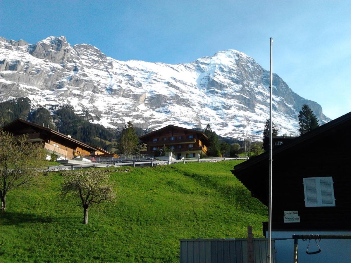 Apartment Luxury, New - Amazing Views Eiger Jungfrau Moench *