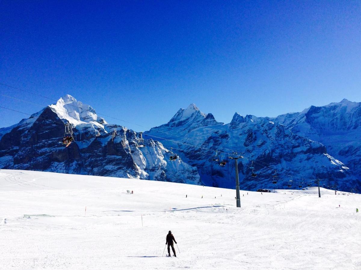 Luxury, New - Amazing Views Eiger Jungfrau Moench *