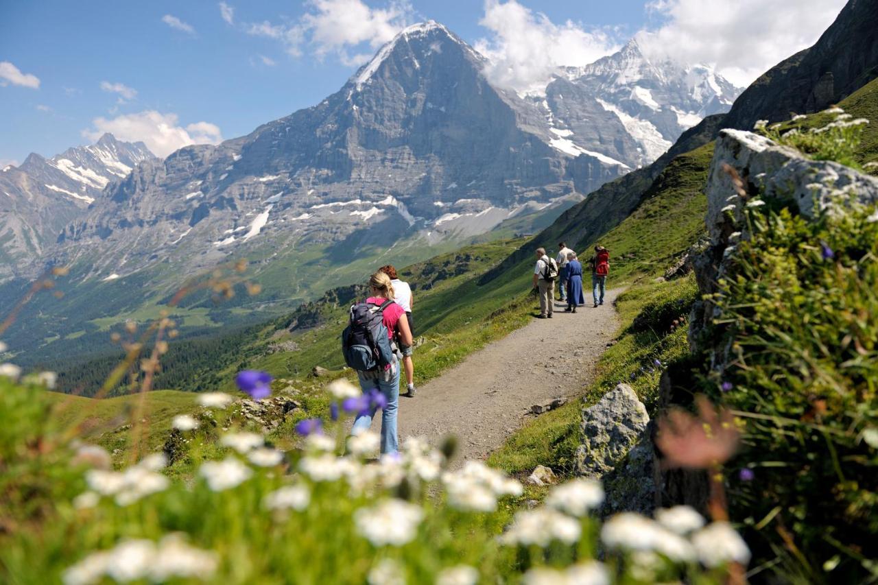Apartment Luxury, New - Amazing Views Eiger Jungfrau Moench