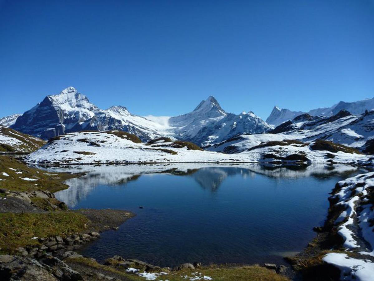 Apartment Luxury, New - Amazing Views Eiger Jungfrau Moench Grindelwald