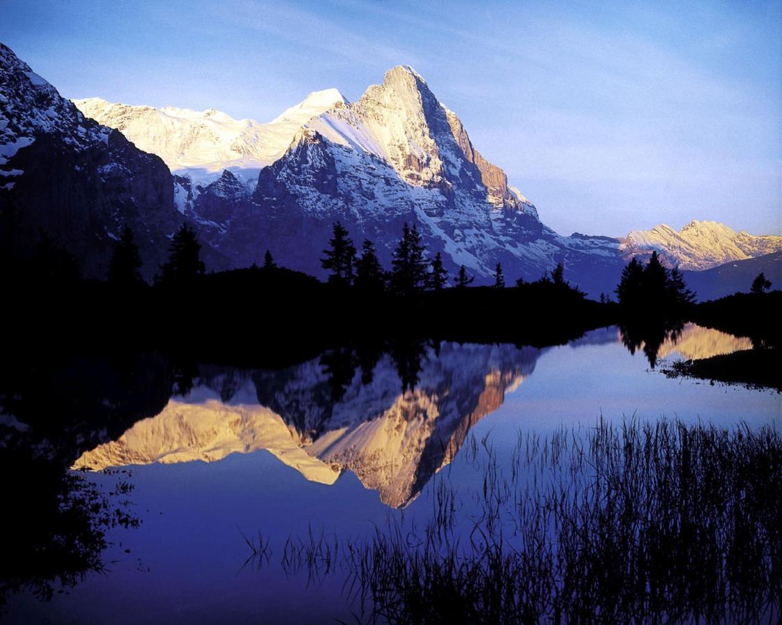 Apartment Luxury, New - Amazing Views Eiger Jungfrau Moench