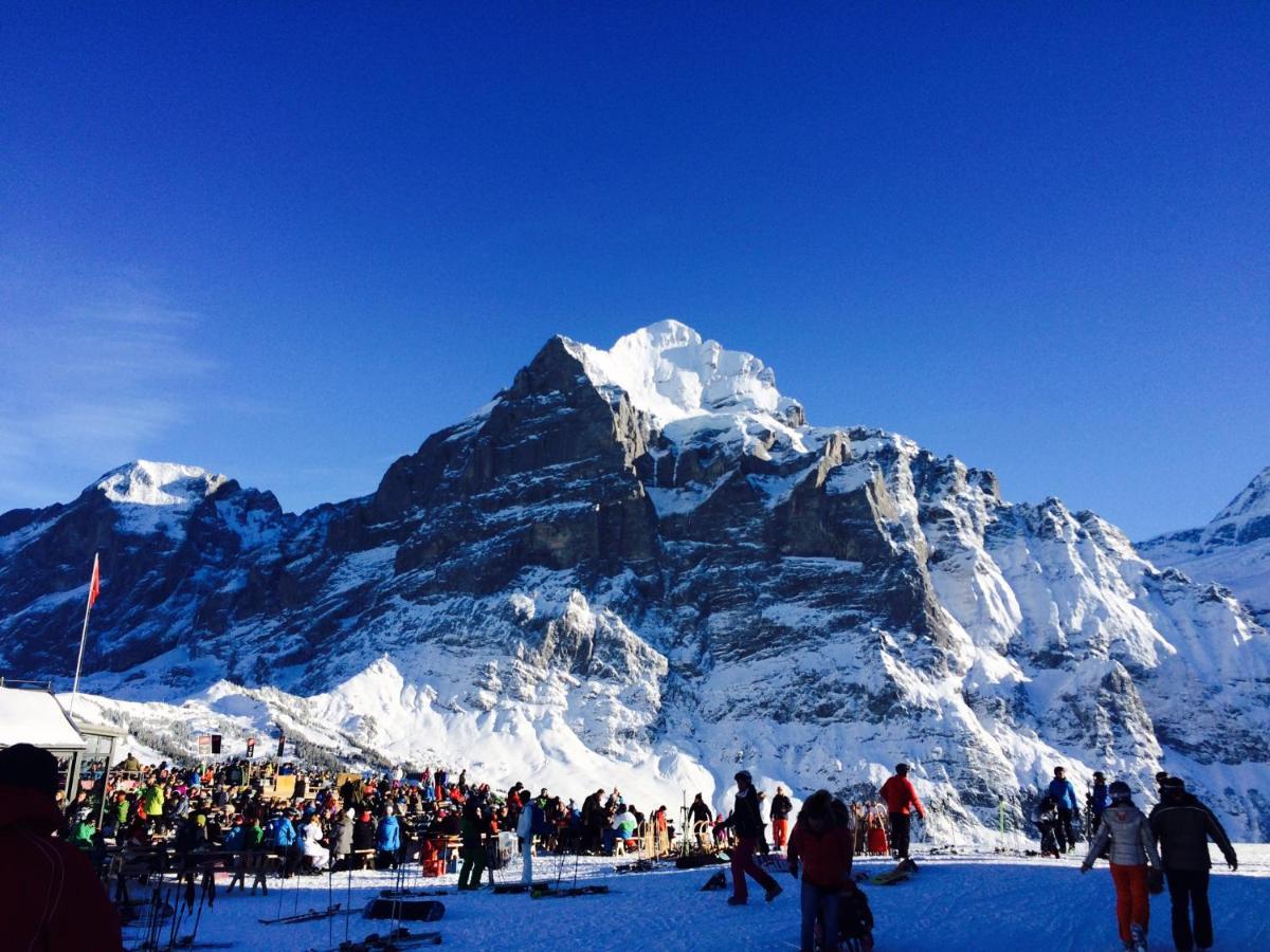 Luxury, New - Amazing Views Eiger Jungfrau Moench Apartment
