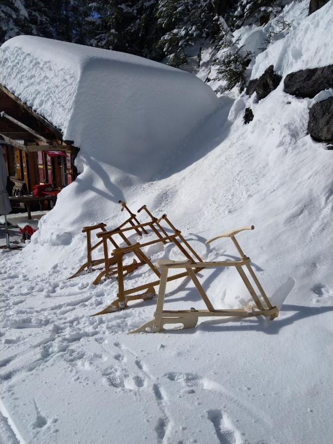 Ferienwohnung Celina * Grindelwald