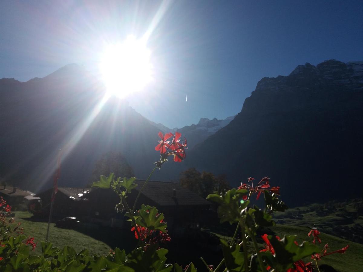 Uf Em Stutz 2 * Grindelwald