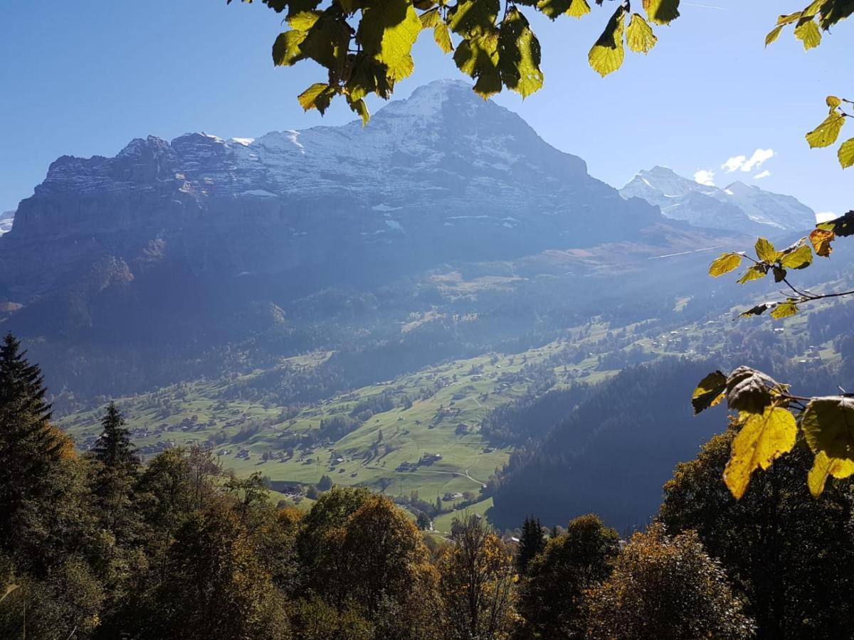 Uf Em Stutz 2 * Grindelwald