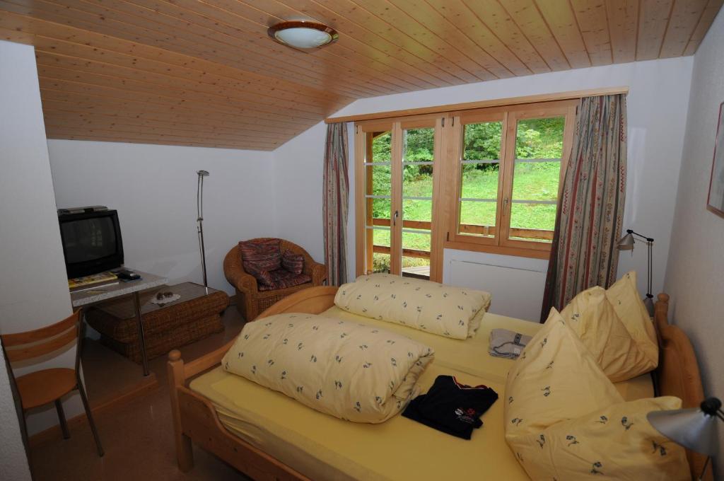Hotel Gletscherschlucht Grindelwald