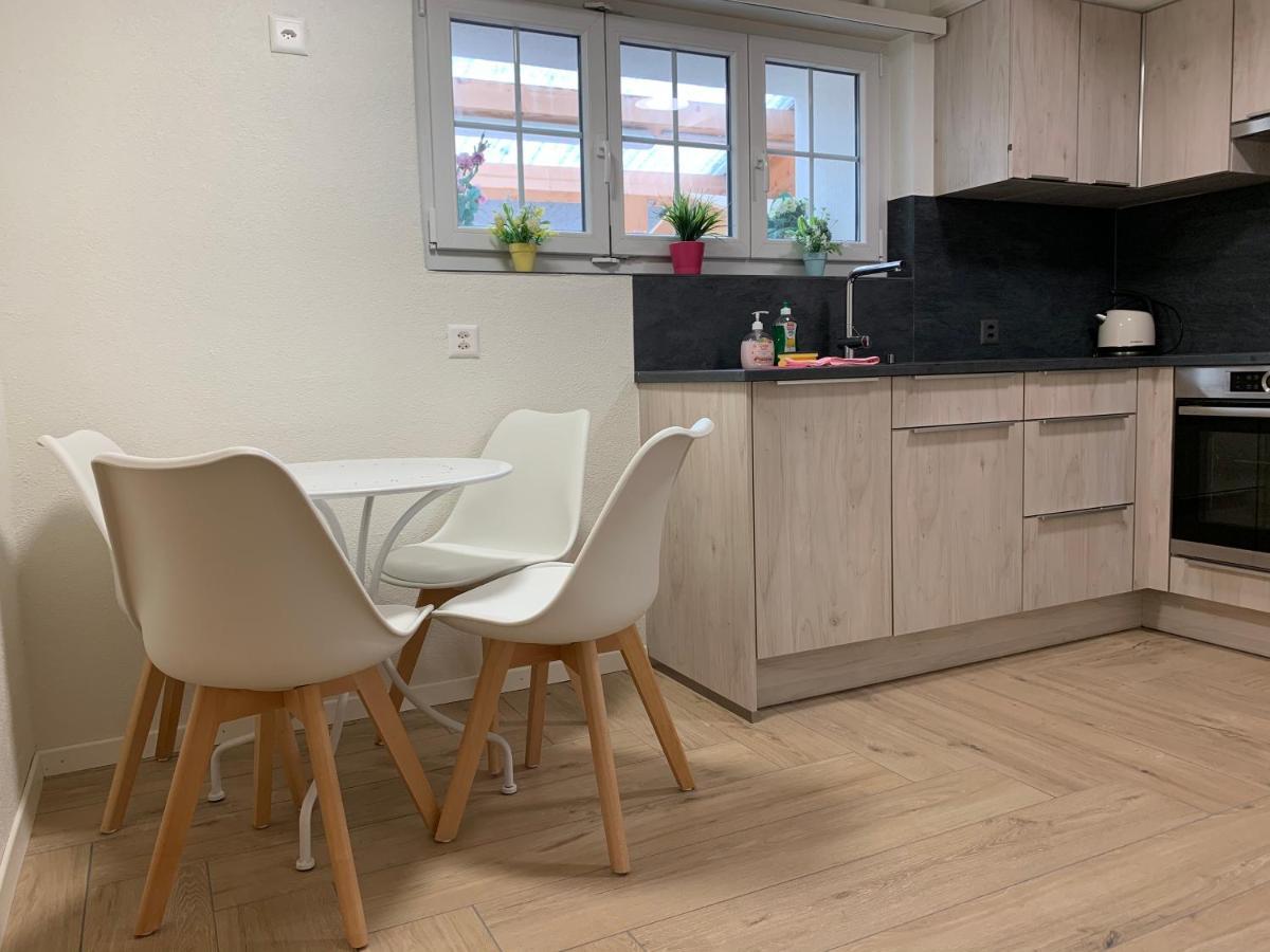 Apartment Eiger, Jungfrau, Luxury Garden Grindelwald