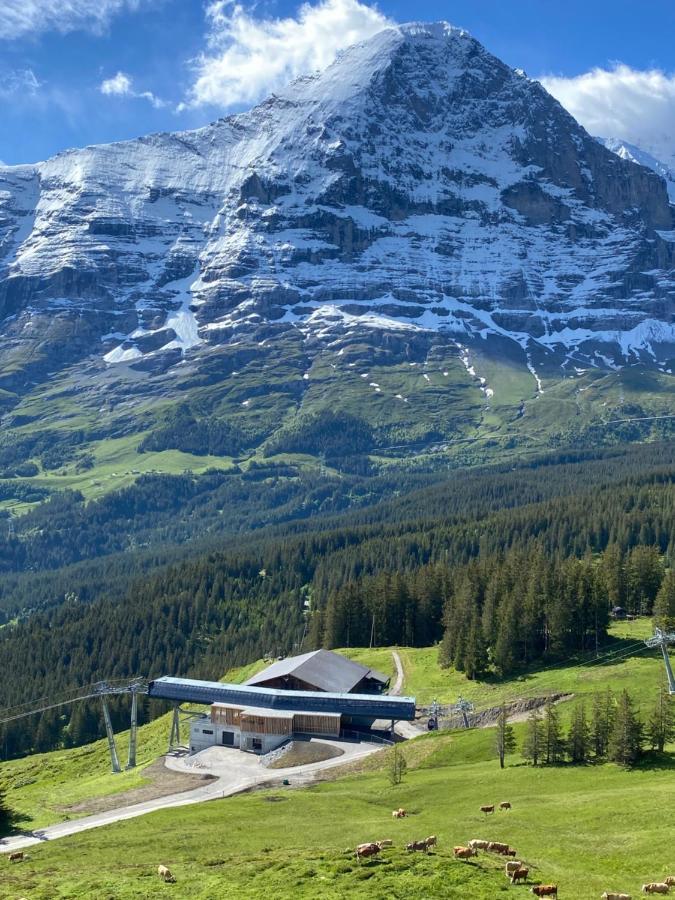 Apartment Herrschaft