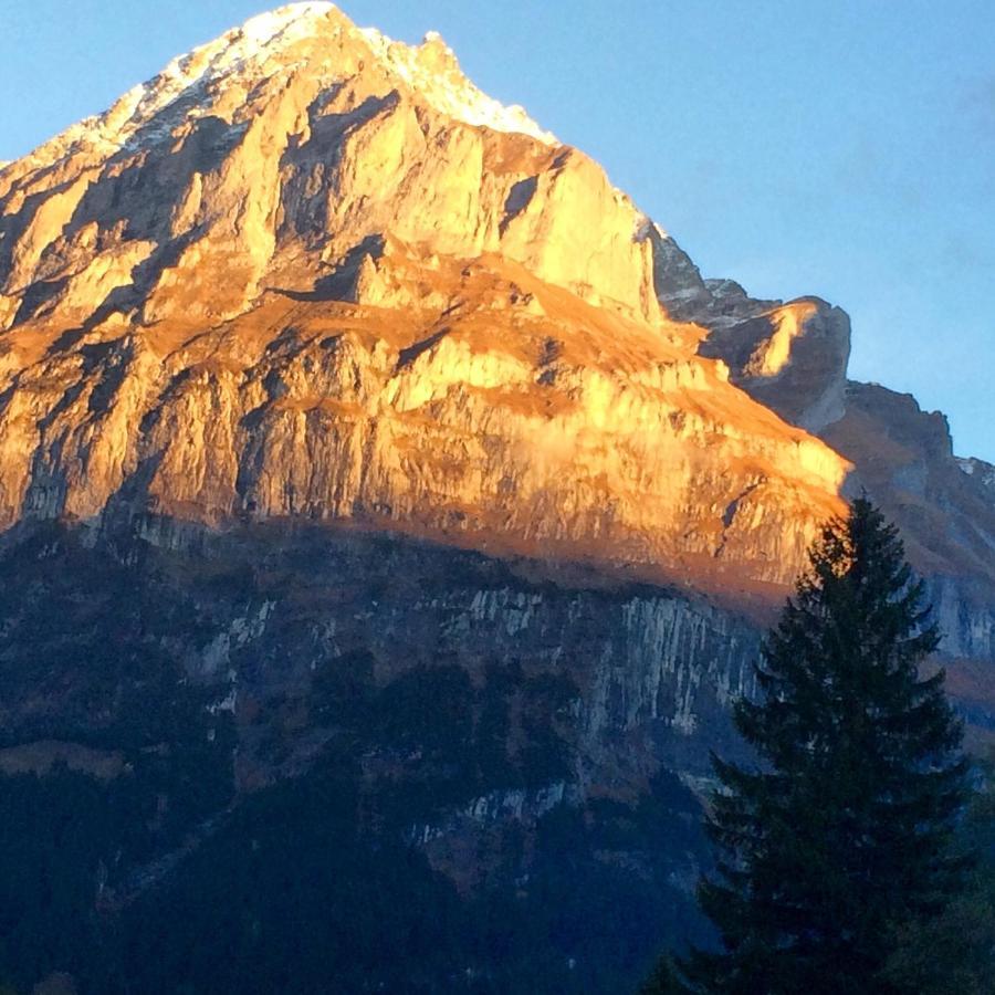 Apartment Eiger, Jungfrau, Luxury Garden Grindelwald