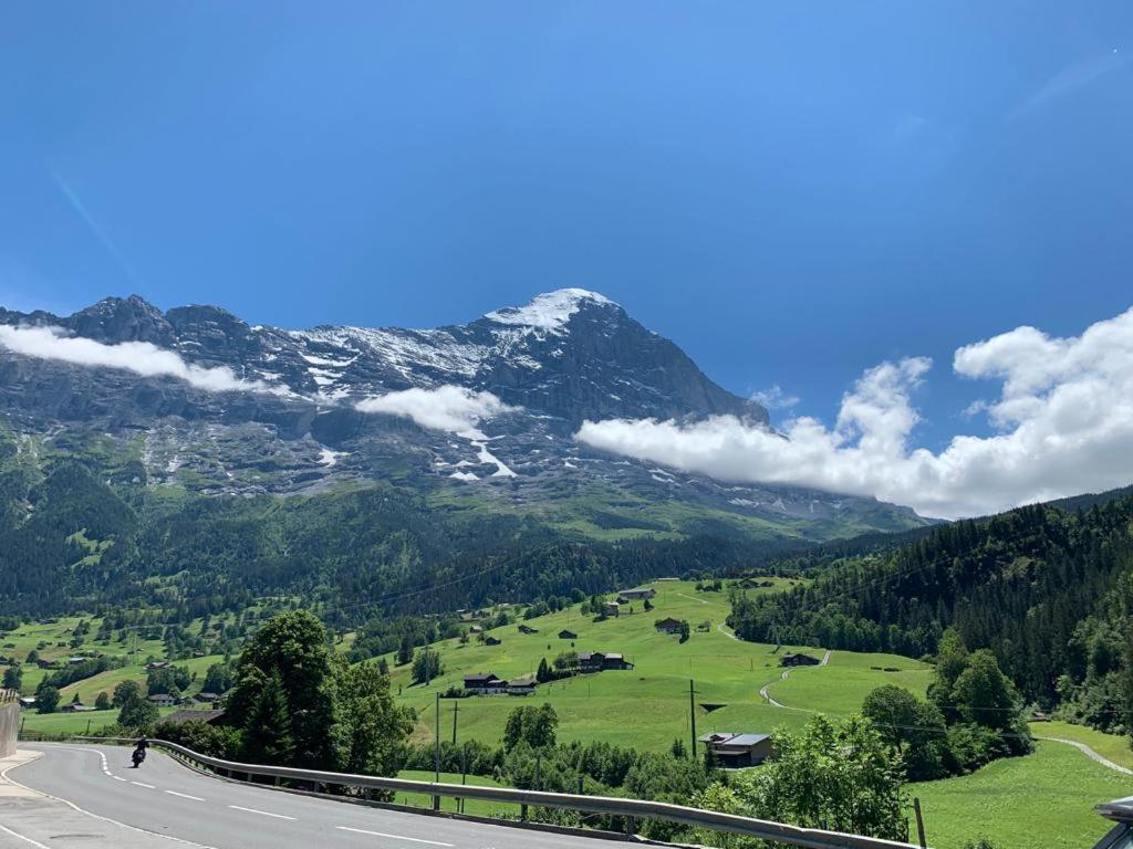 Apartment Eiger, Jungfrau, Luxury Garden *