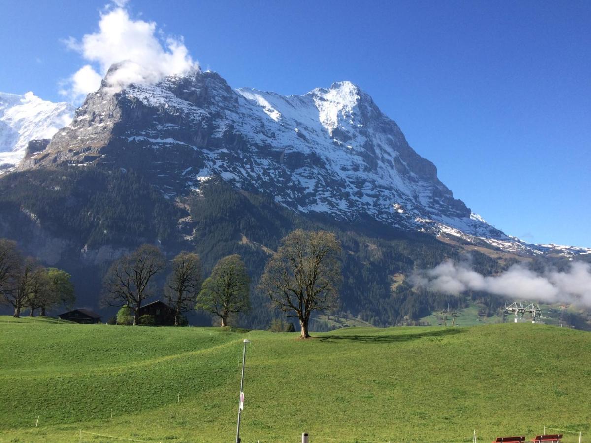 Eiger, Jungfrau, Luxury Garden * Grindelwald