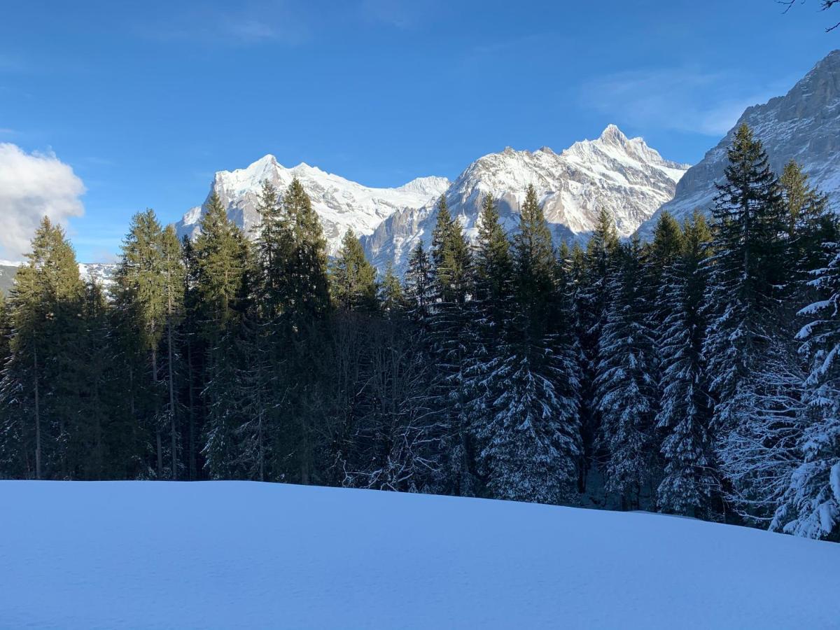 Eiger, Jungfrau, Luxury Garden Grindelwald