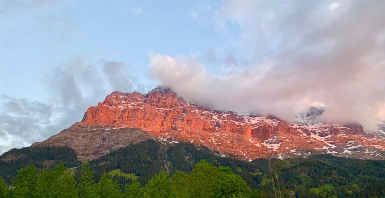 Apartment Eiger, Jungfrau, Luxury Garden