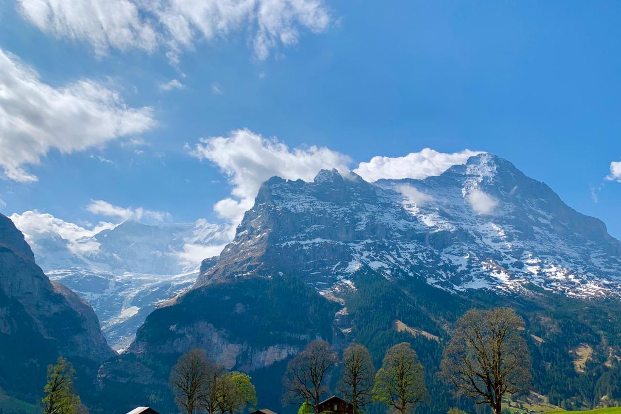 Eiger, Jungfrau, Luxury Garden Apartment Grindelwald