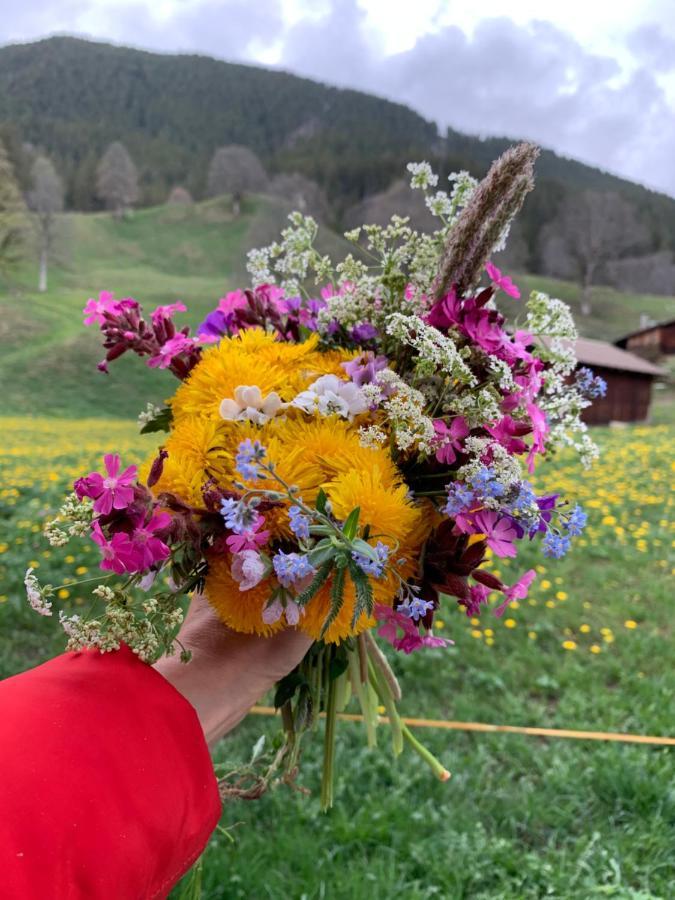 Eiger, Jungfrau, Luxury Garden *