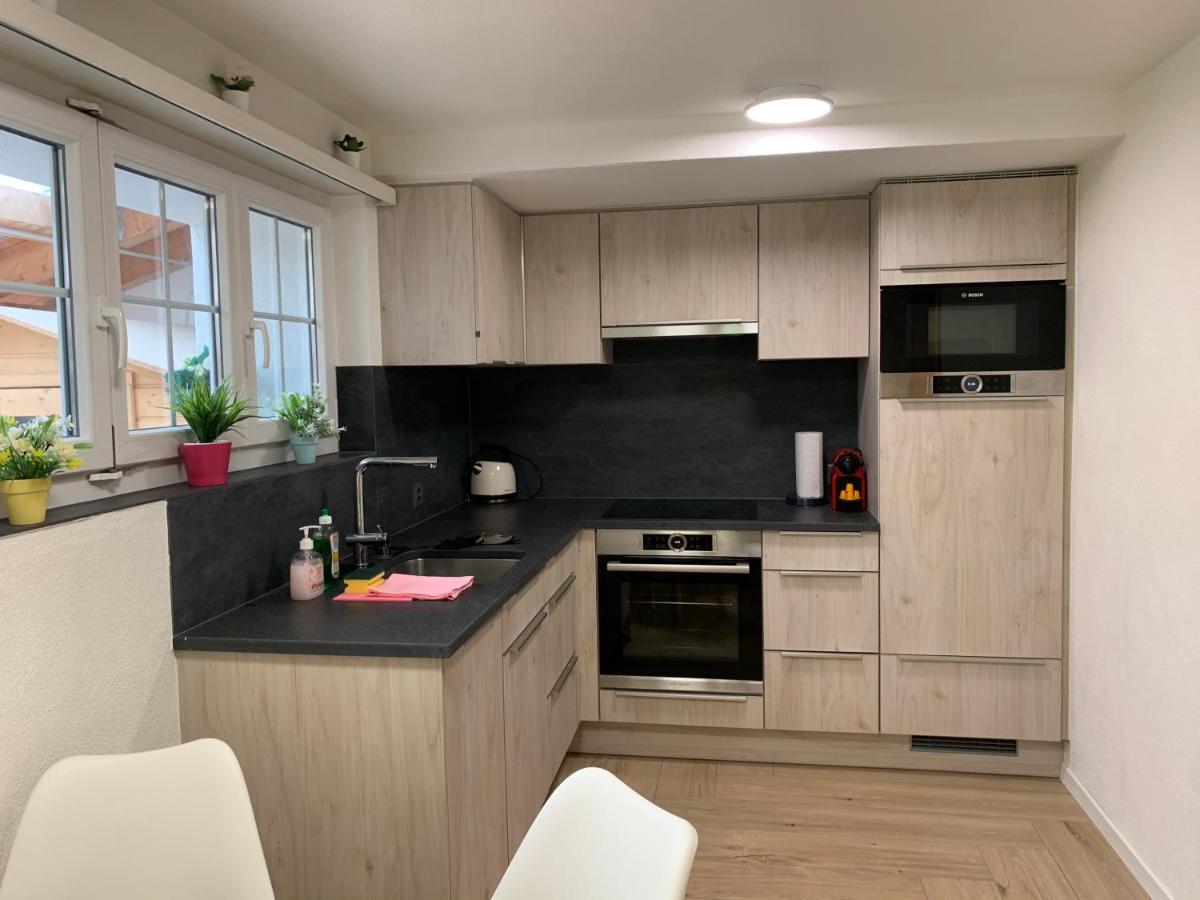 Eiger, Jungfrau, Luxury Garden Apartment *