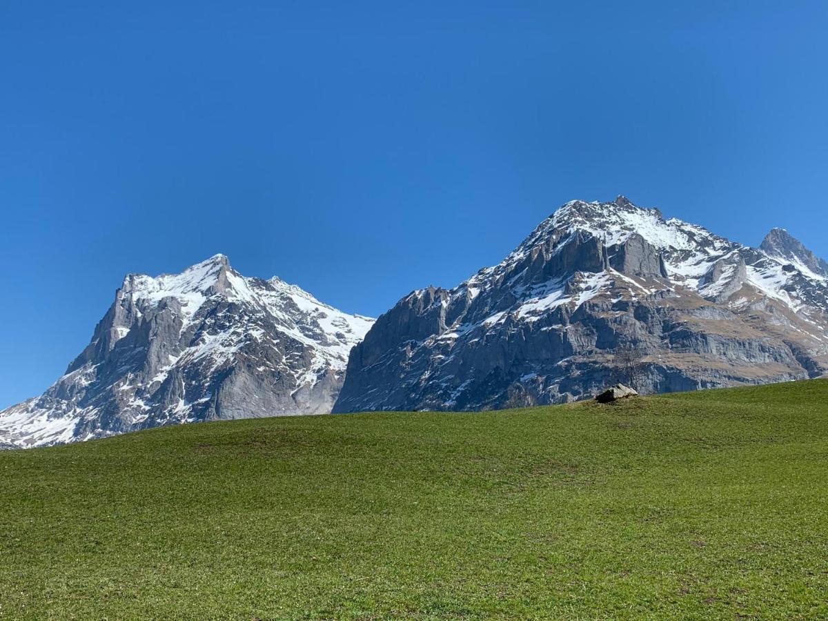 Fluehblueemli Apartment Grindelwald