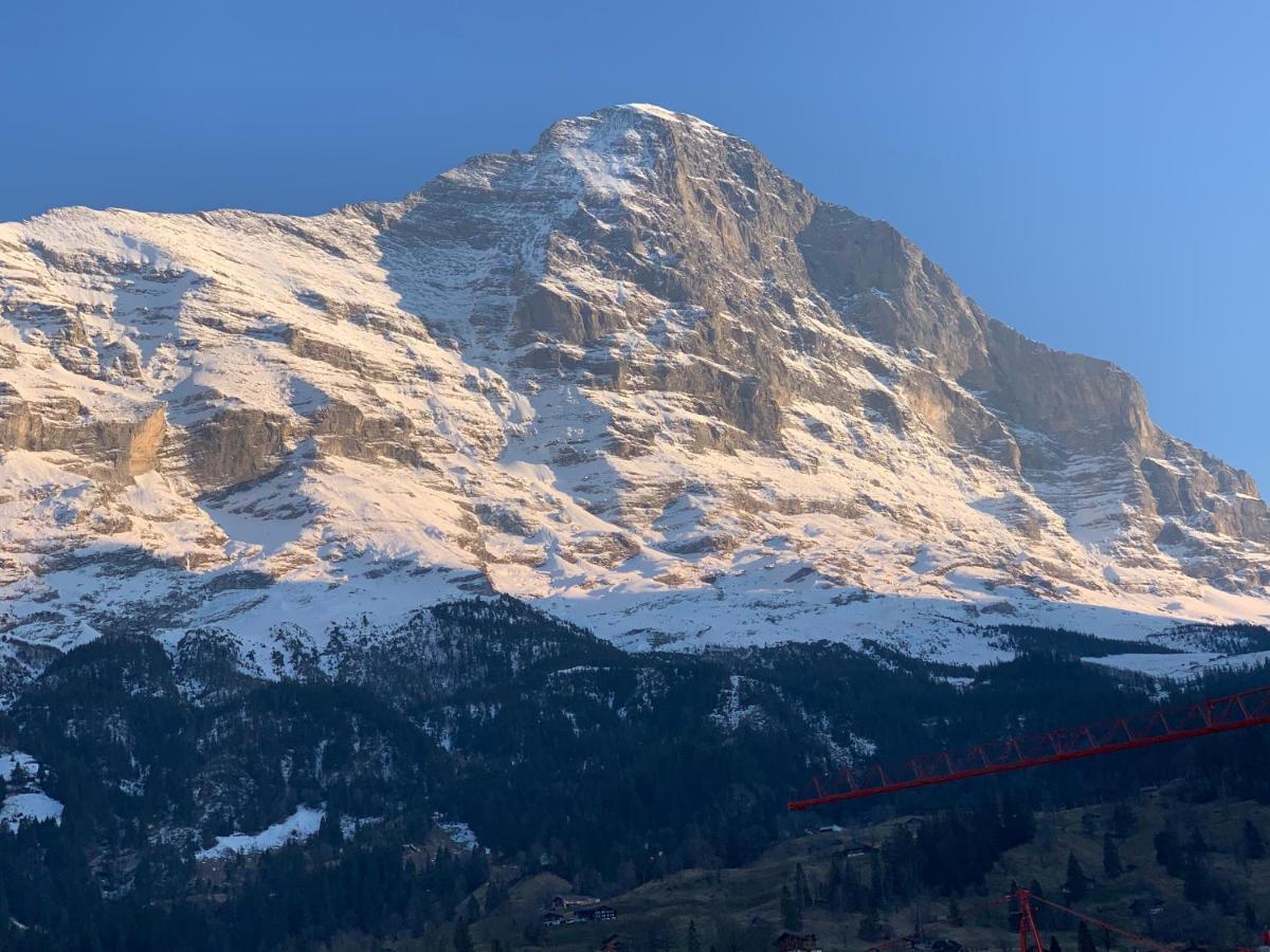 Fluehblueemli Grindelwald