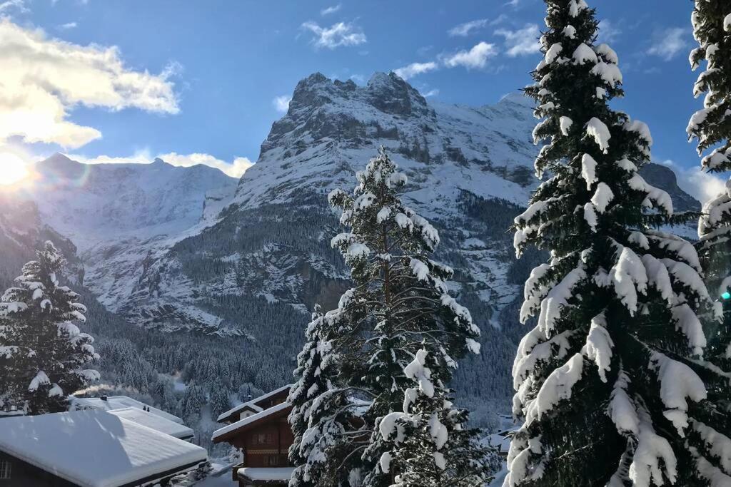 3,5 Kasa Bonaventura Apartment Grindelwald