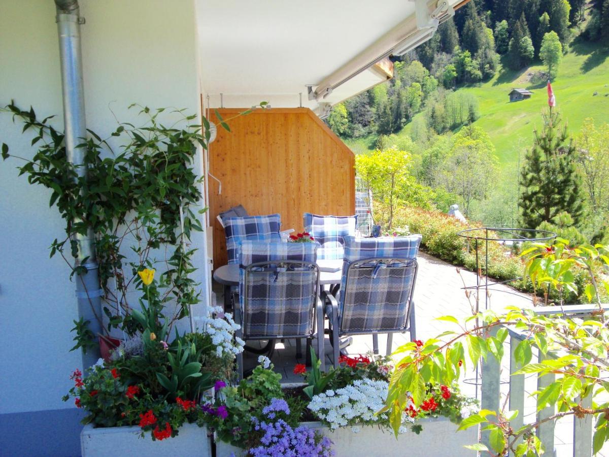 Apartment Pfingsteggblick *