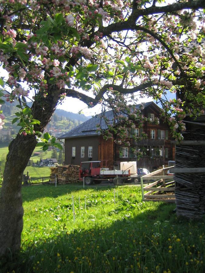 Baergblick *