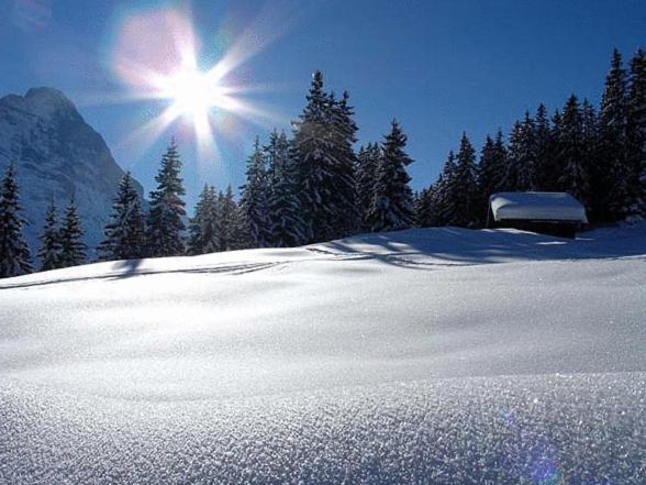 Steinbock Hotel 3*