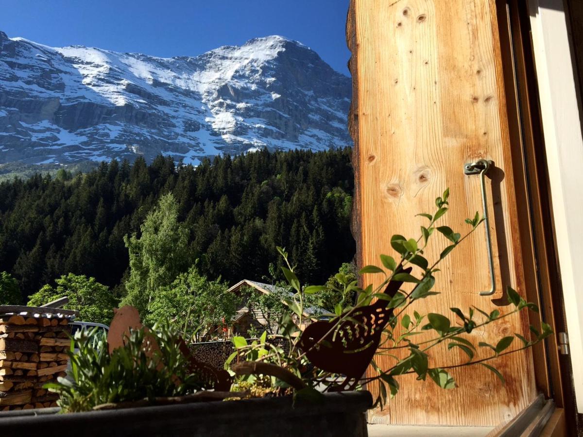 Apartment Eigerhome - Chalet Am Buehl *