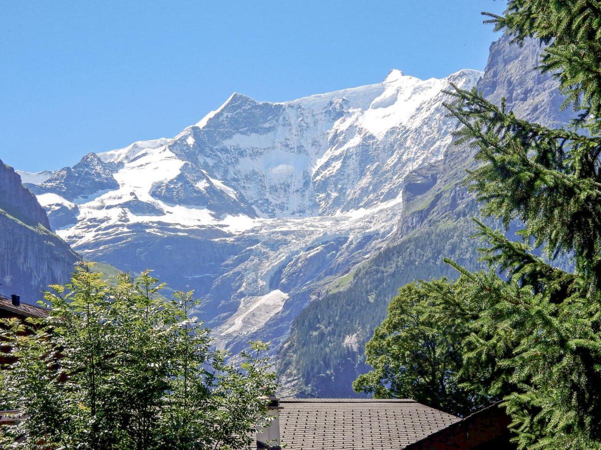 Bienli * Grindelwald