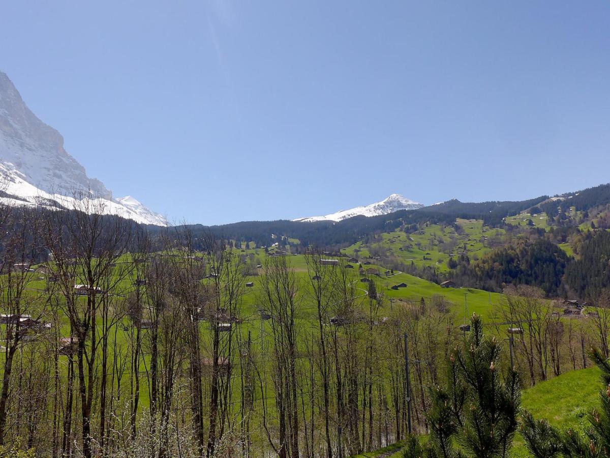 Apartment Chalet Eiger-2 By Interhome Apartment Grindelwald