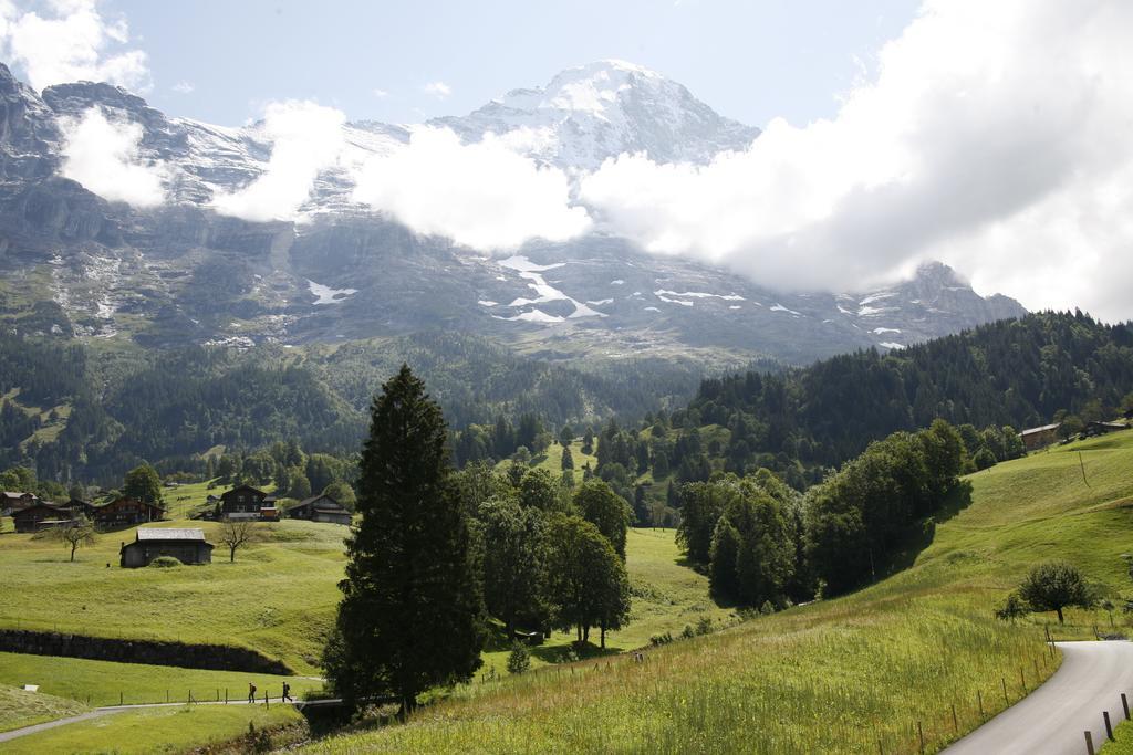 Chalet Bodenwald Apartment