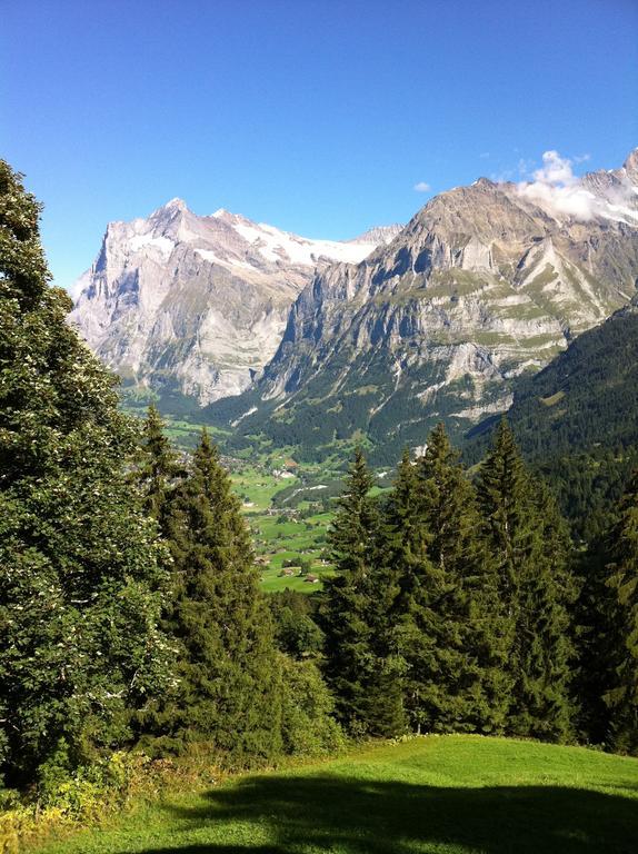 Chalet Bodenwald *