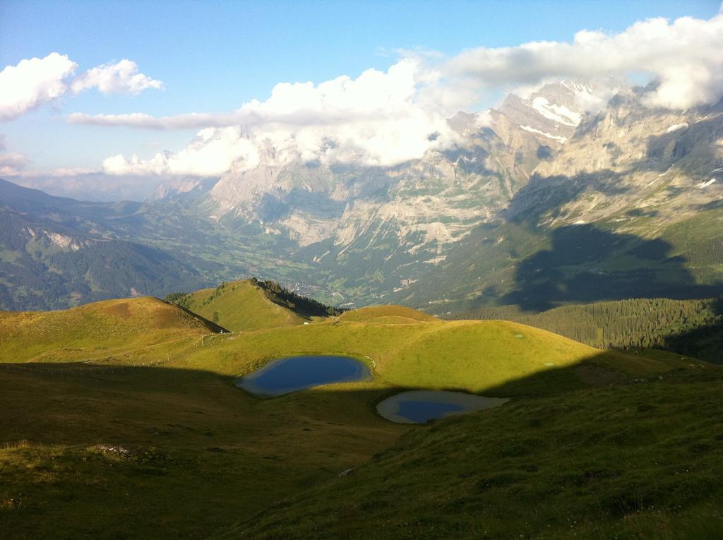 Chalet Bodenwald * Grindelwald