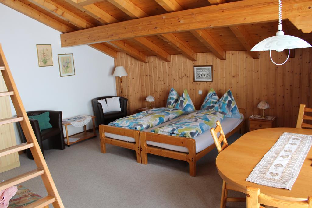 Spinne Apartment