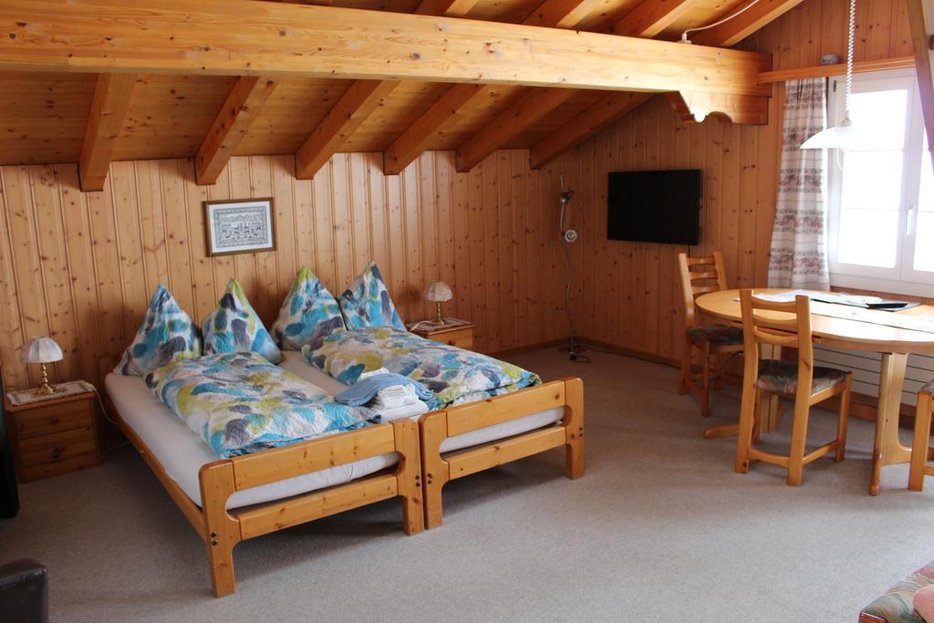Apartment Spinne Grindelwald