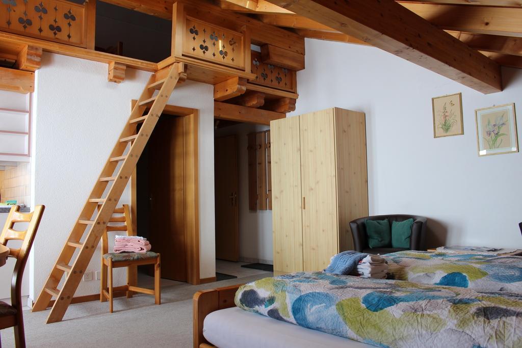 Apartment Spinne Grindelwald