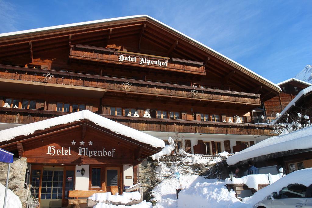 Alpenhof Hotel 3*