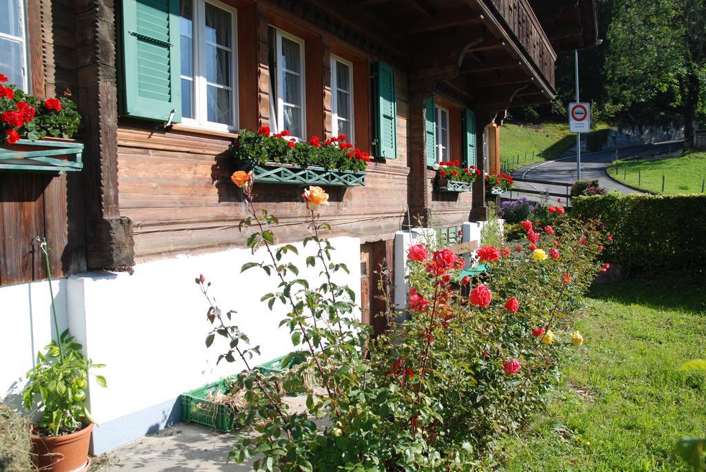 Tuftbach Apartment