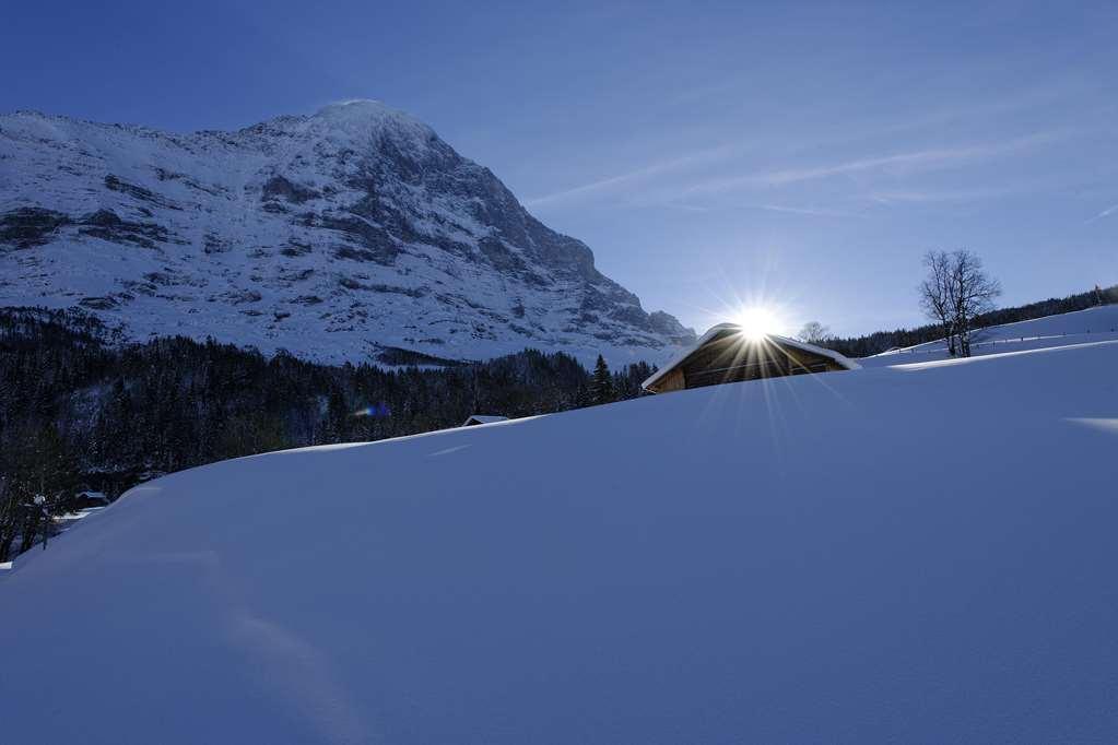 Aspen Alpine Lifestyle Grindelwald